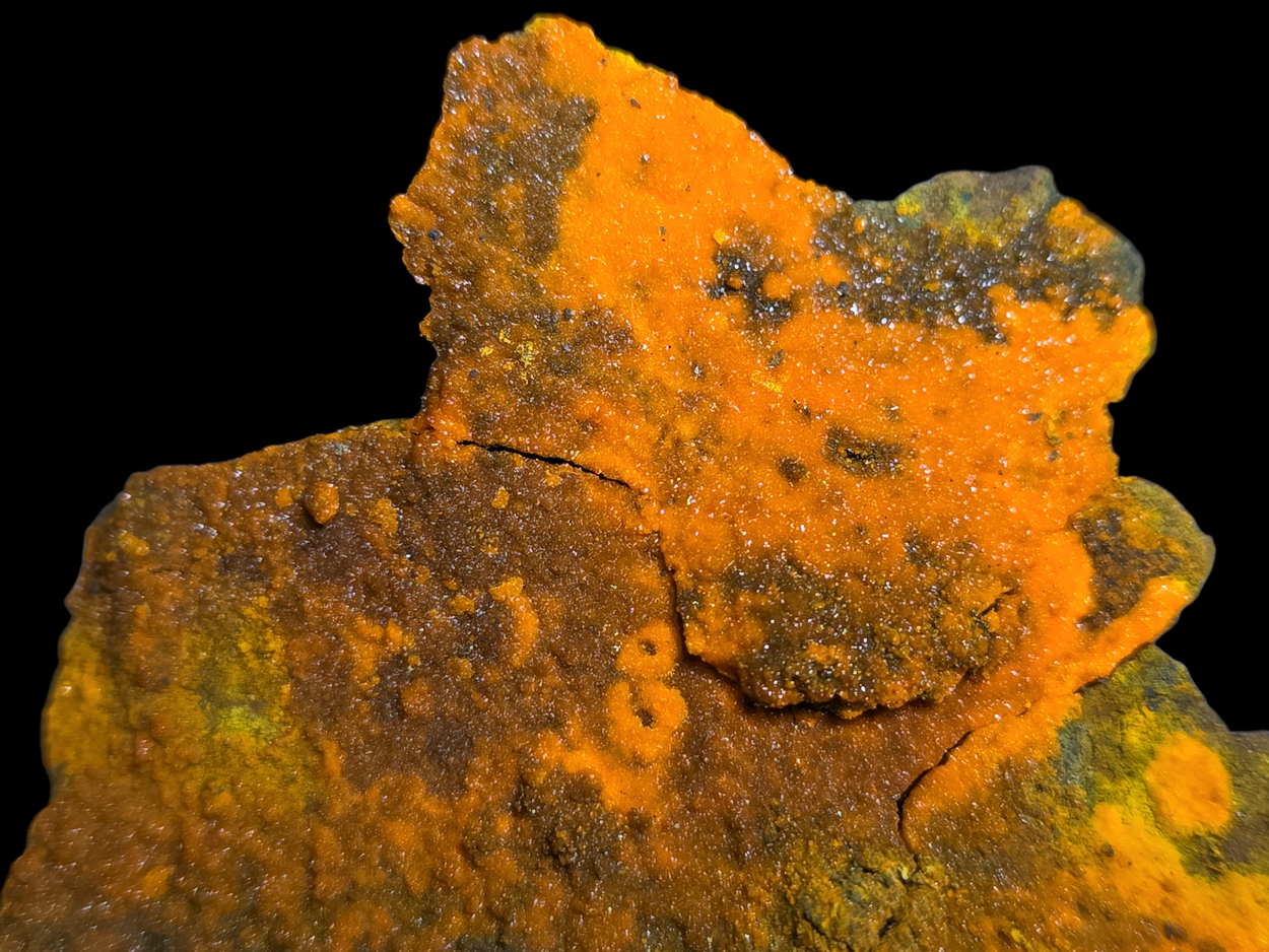 Magnesiopascoite With Postite & Carnotite