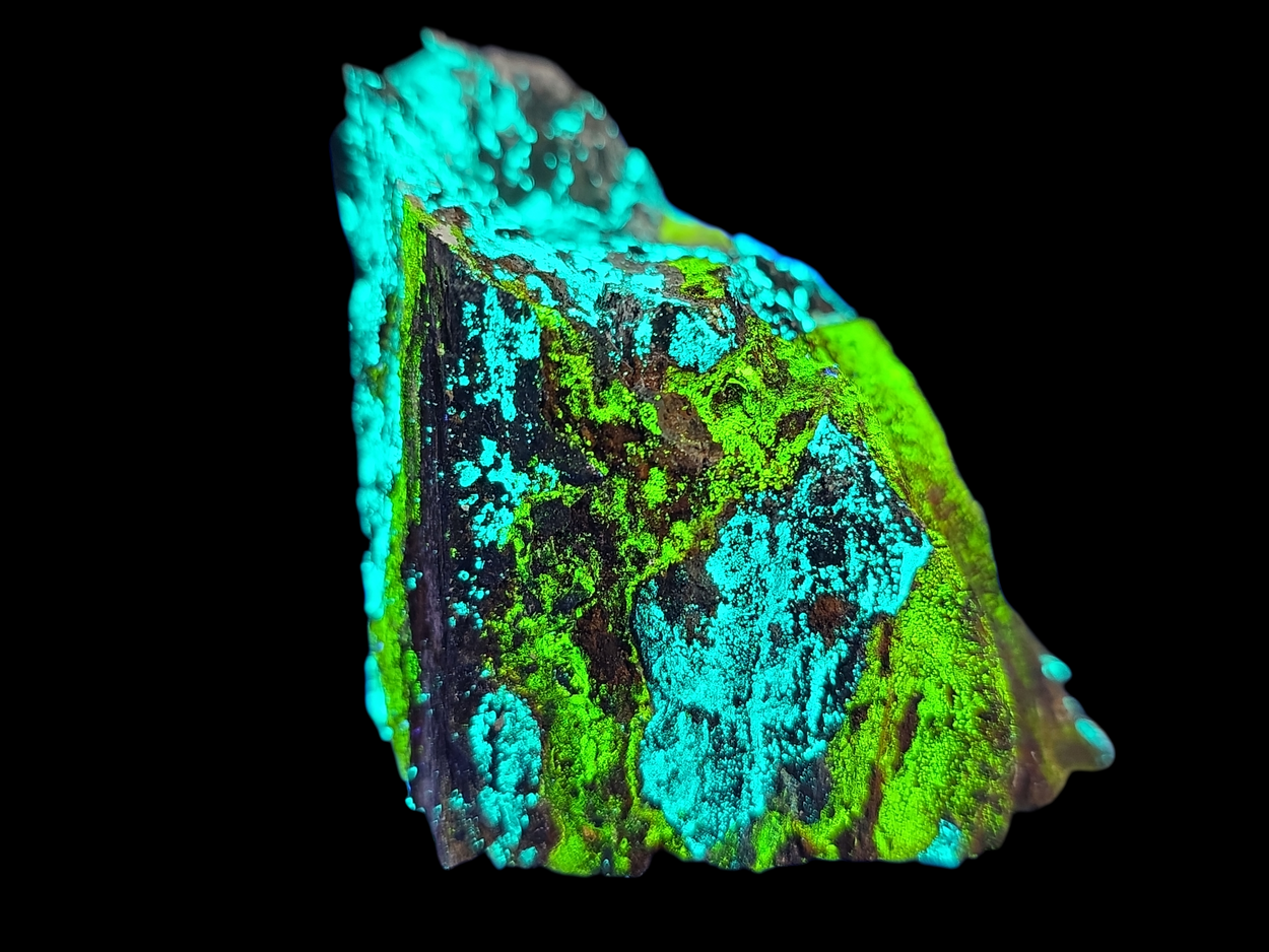 Andersonite With Natrozippeite Psm Petrified Wood