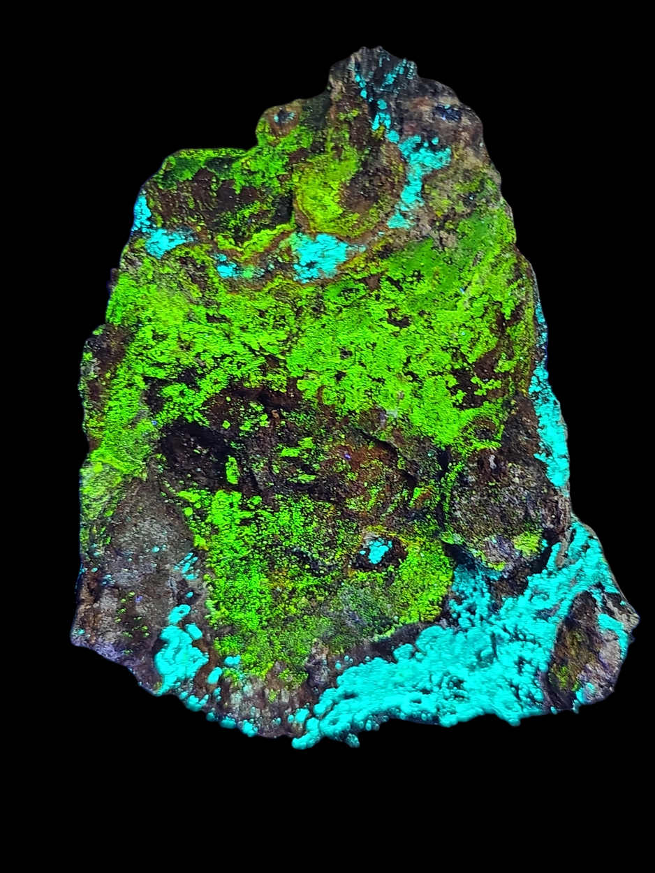 Andersonite With Natrozippeite Psm Petrified Wood