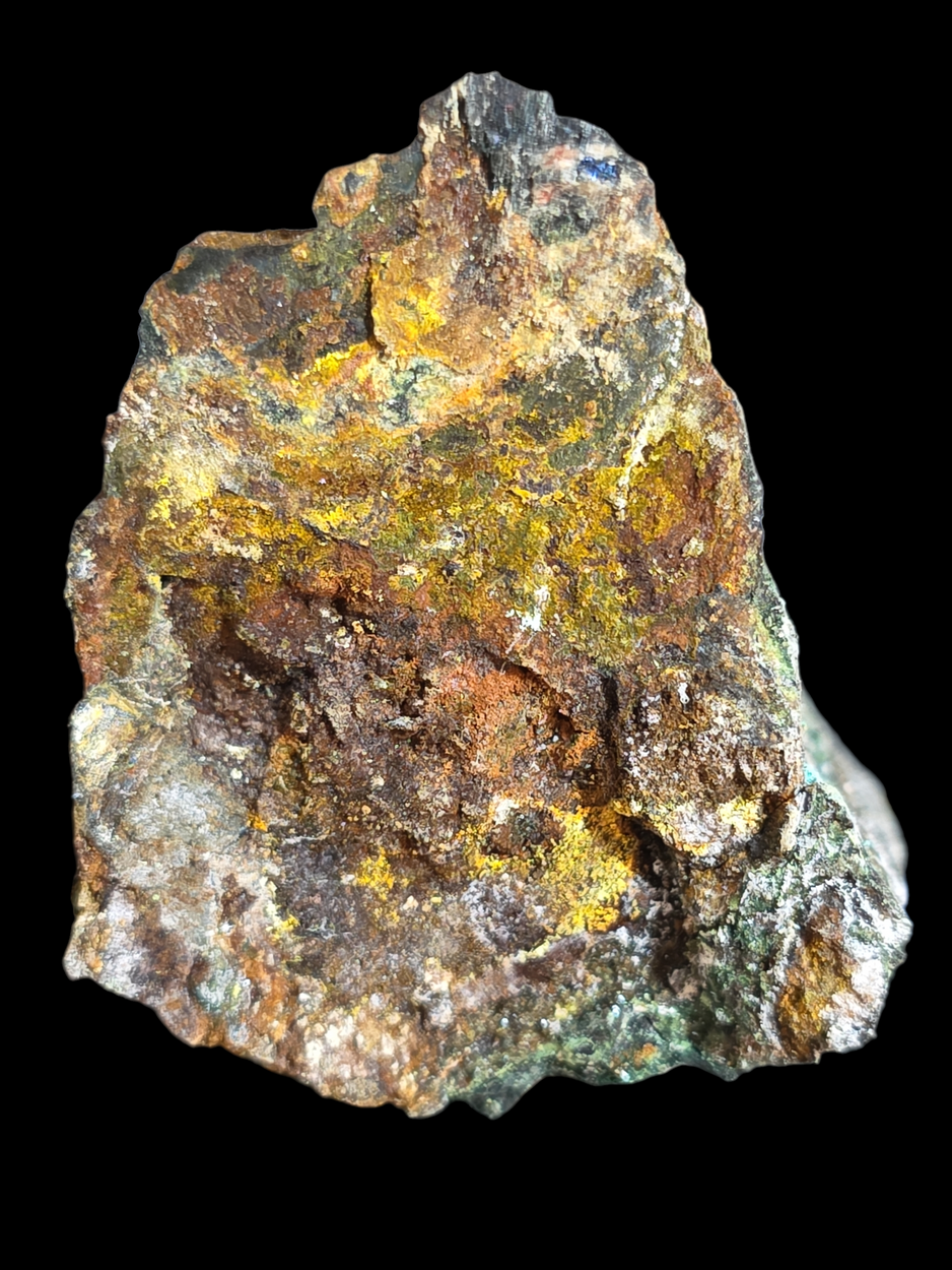 Andersonite With Natrozippeite Psm Petrified Wood