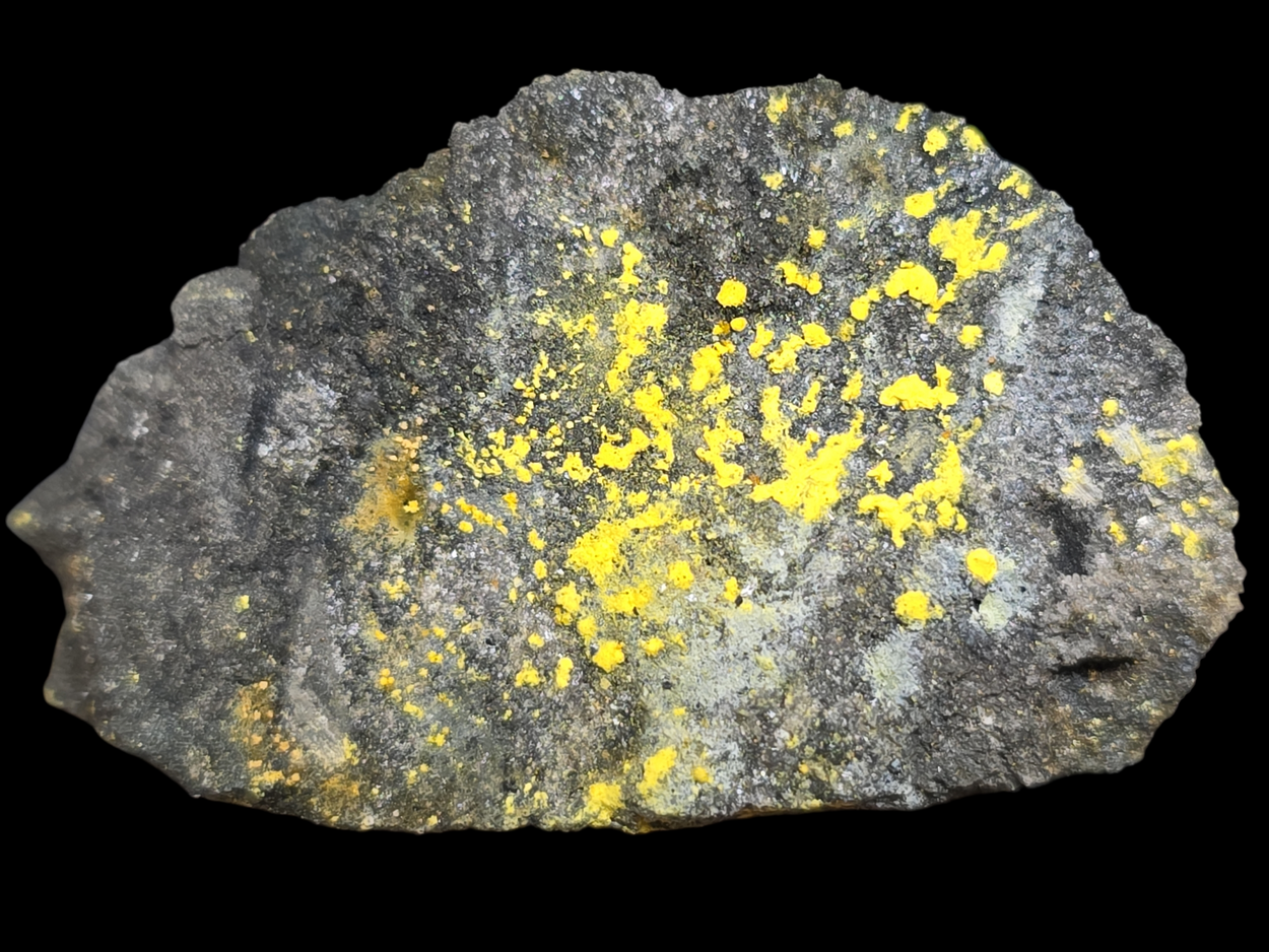 Uranophane With Natrozippeite On Coffinite & Uraninite