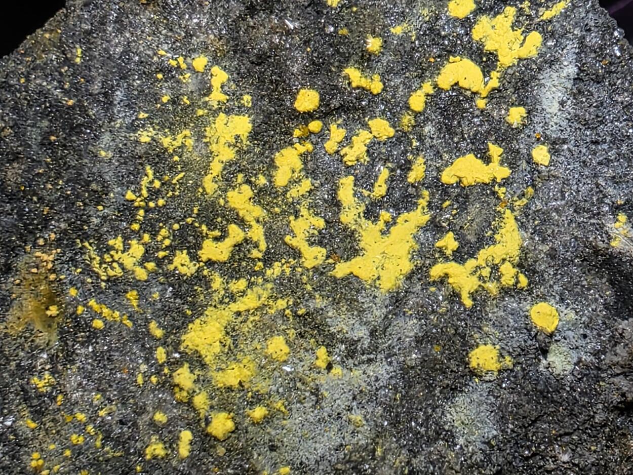 Uranophane With Natrozippeite On Coffinite & Uraninite