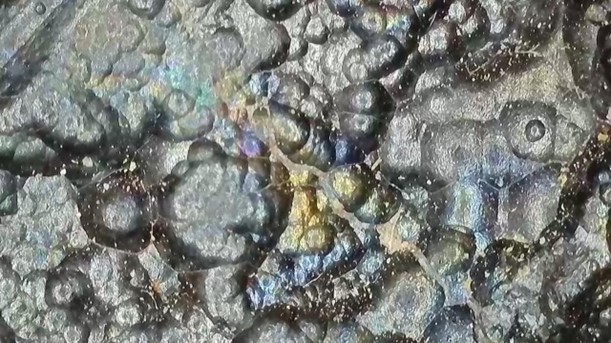 Uraninite Var Pitchblende