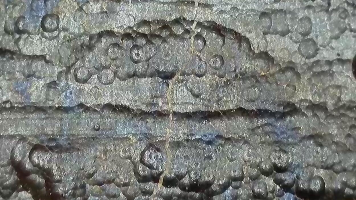 Uraninite Var Pitchblende