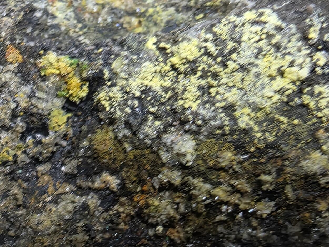 Lindgrenite & Powellite