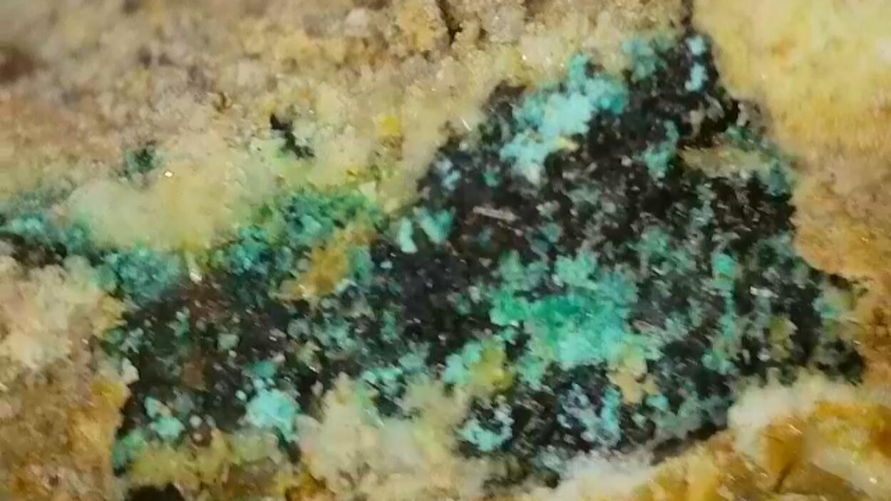 Deliensite On Uraninite With Ferricopiapite & Ferrinatrite