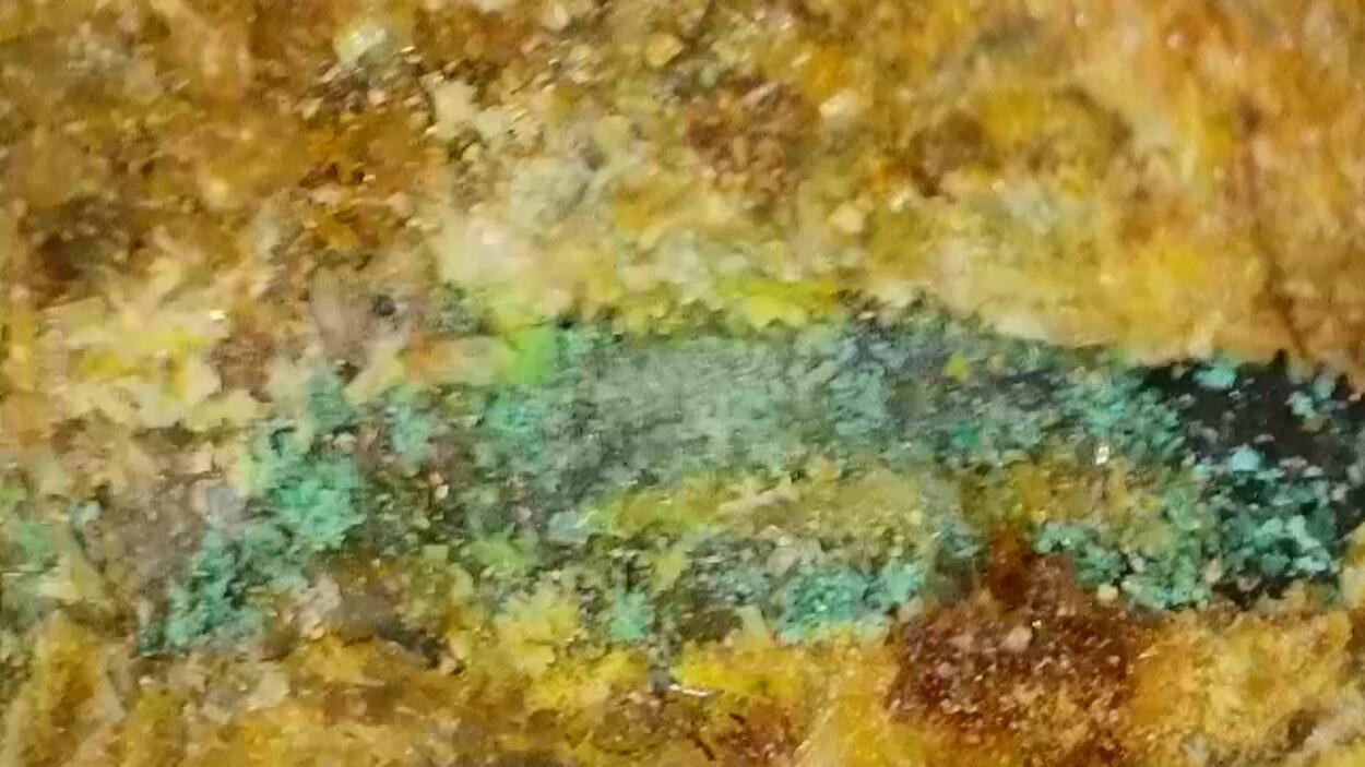 Deliensite On Uraninite With Ferricopiapite & Ferrinatrite