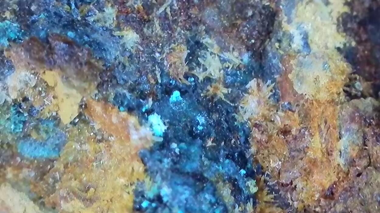 Deliensite On Uraninite With Ferricopiapite & Ferrinatrite