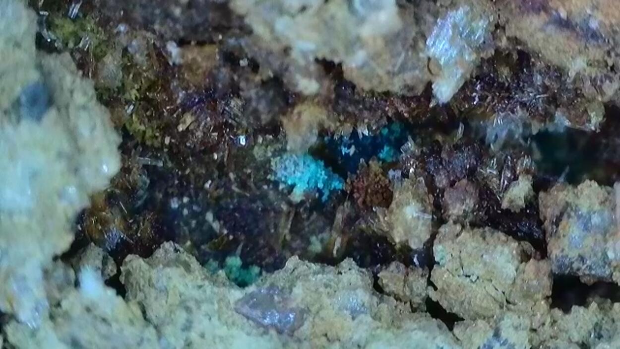 Deliensite On Uraninite With Ferricopiapite & Ferrinatrite