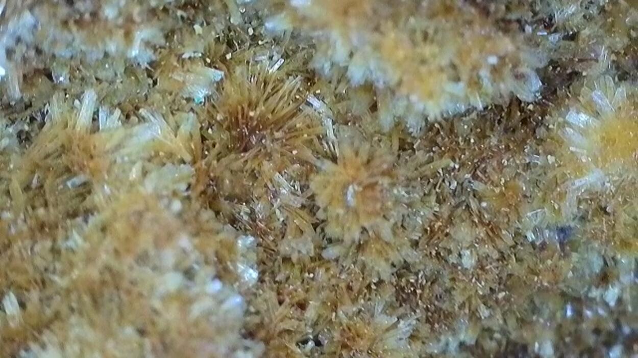 Deliensite On Uraninite With Ferricopiapite & Ferrinatrite