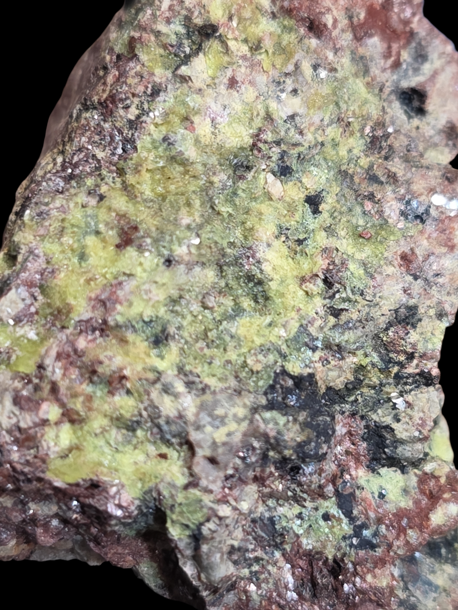 Urancalcarite & Rameauite With Uranophane On Uraninite