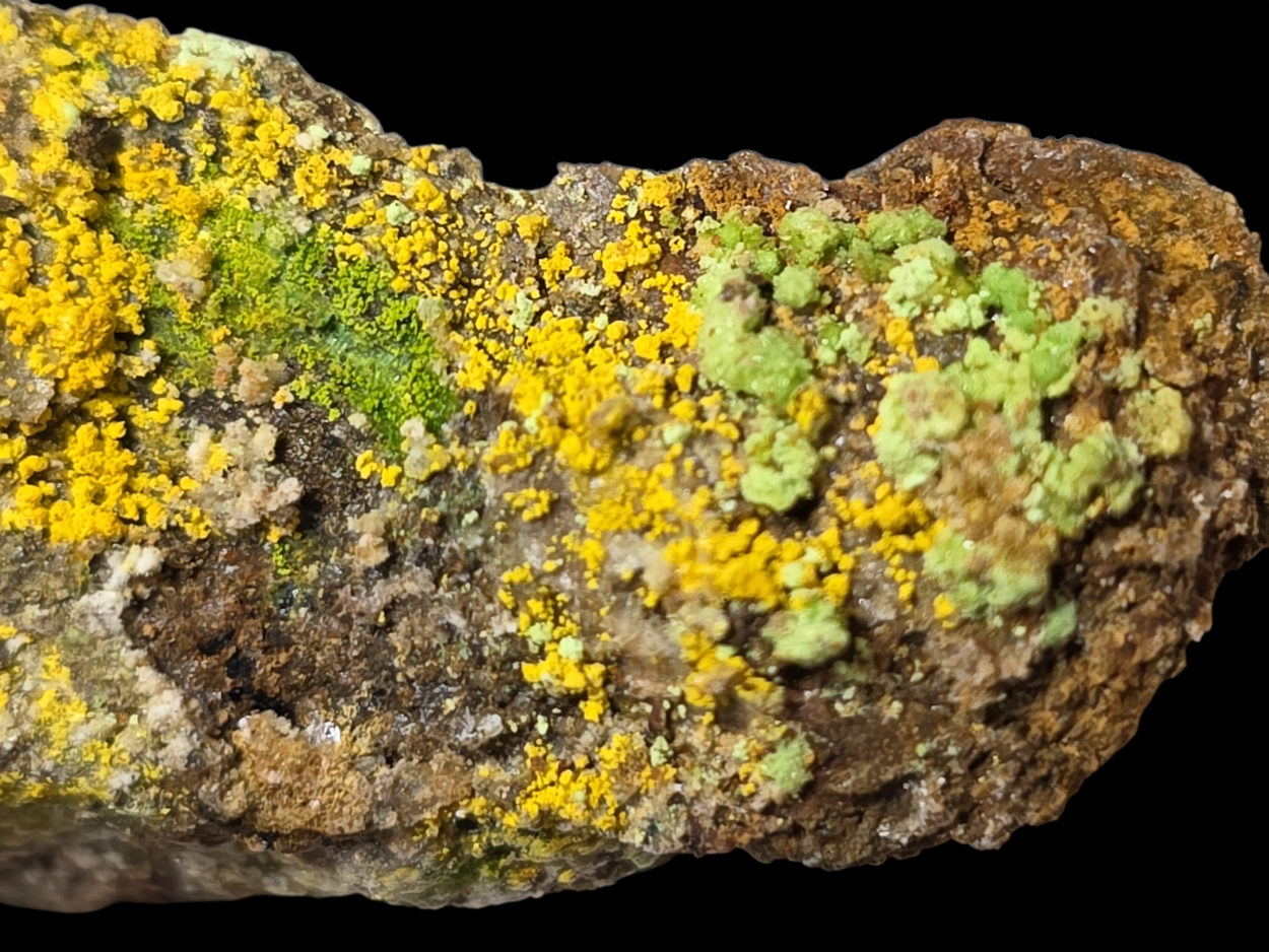 Natrozippeite With Natrochalcite & Johannite