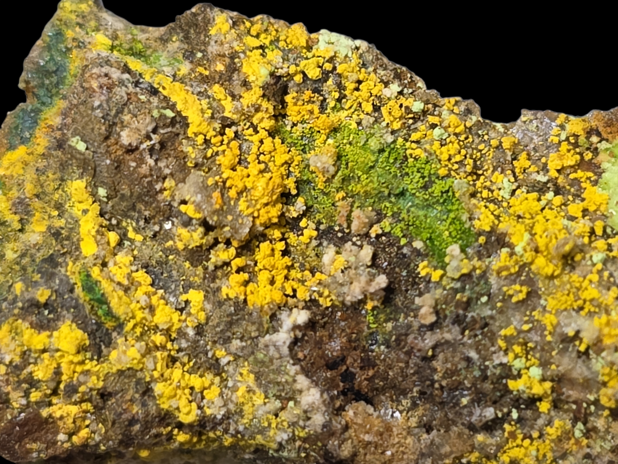 Natrozippeite With Natrochalcite & Johannite