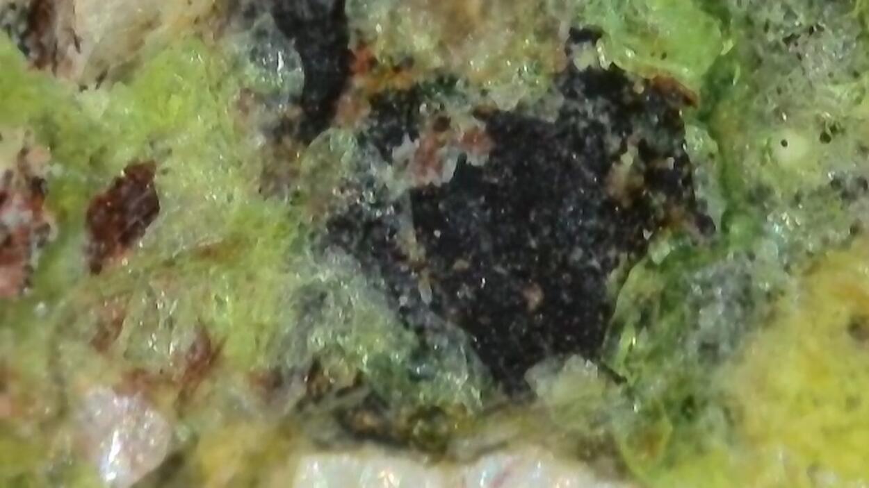Urancalcarite & Rameauite With Uranophane On Uraninite