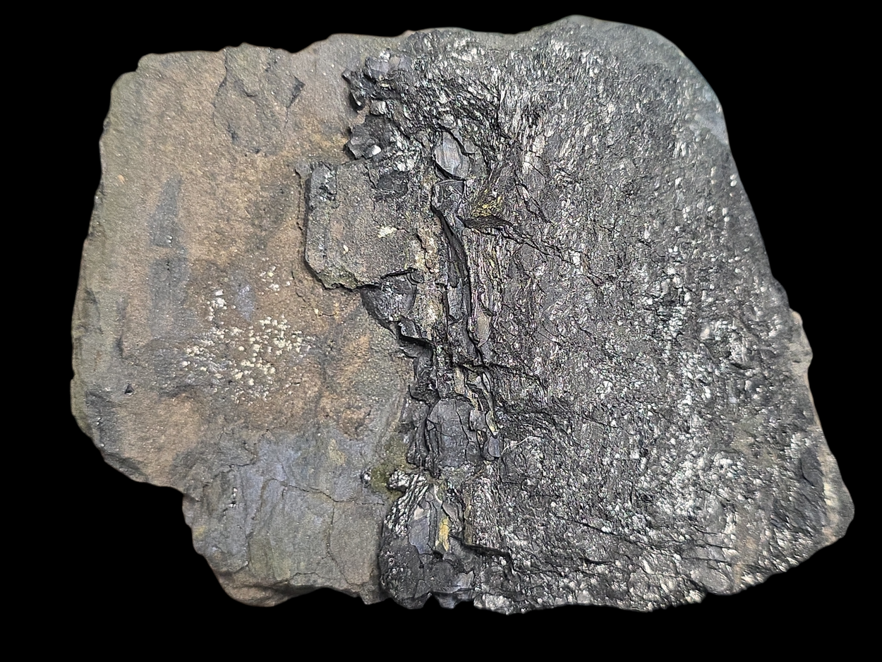 Coffinite & Uraninite Var Pitchblende