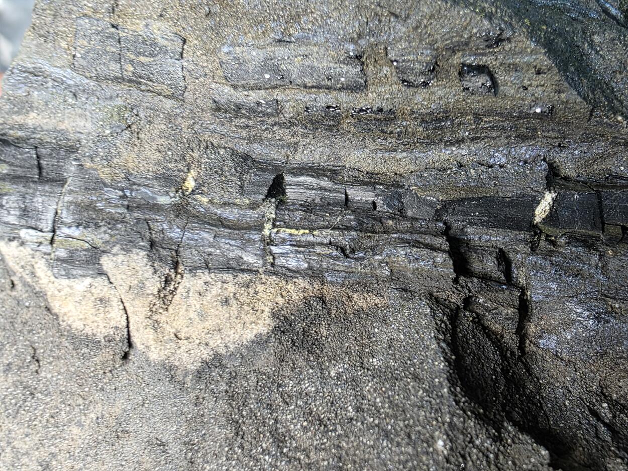 Coffinite & Uraninite Var Pitchblende