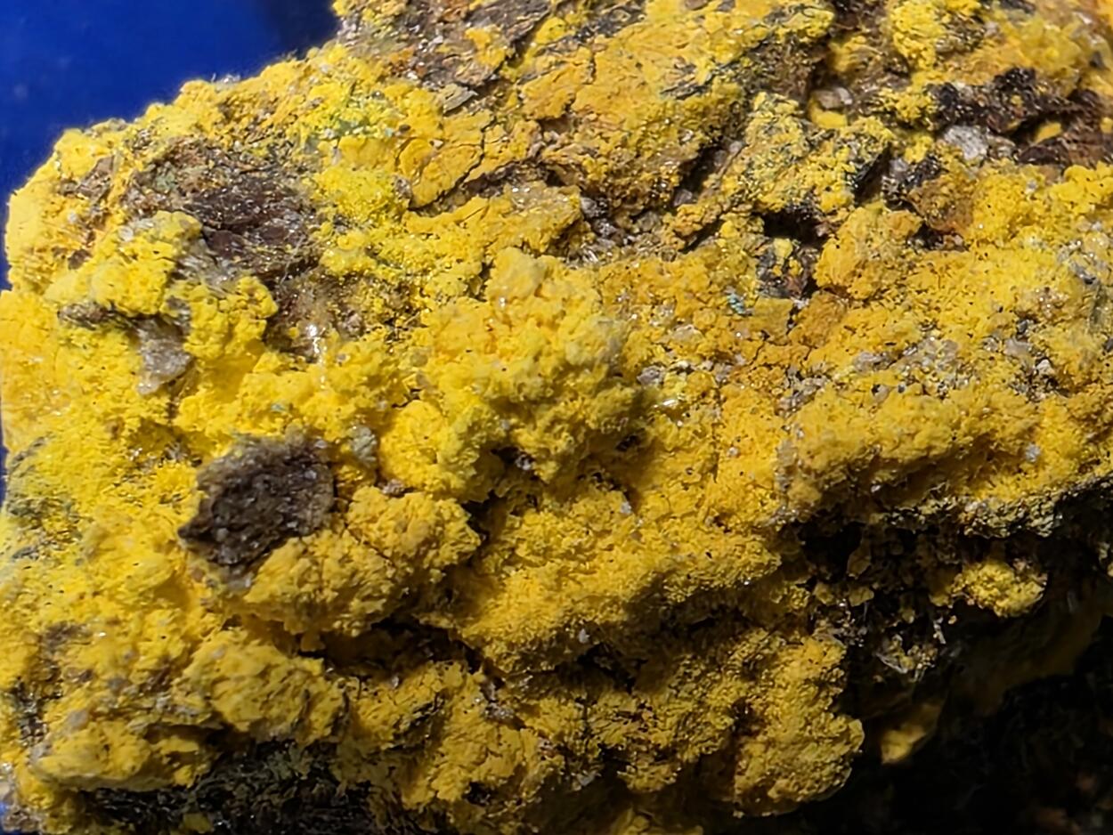 Natrozippeite On Uraninite