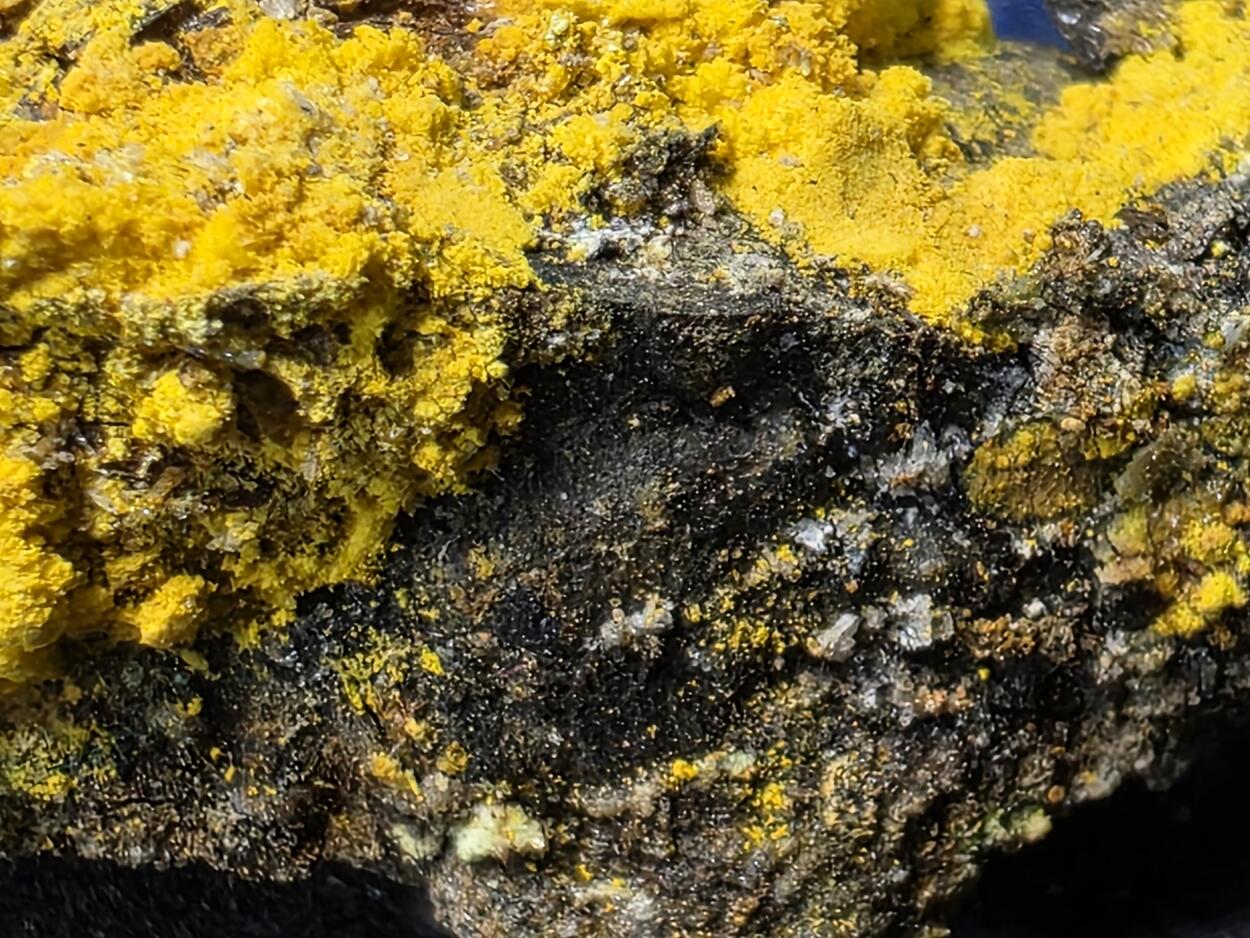 Natrozippeite On Uraninite