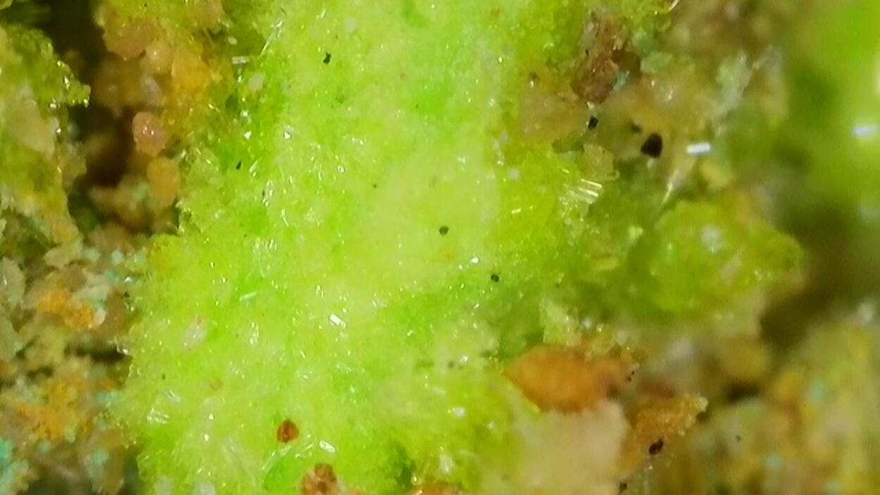 Johannite With Zippeite