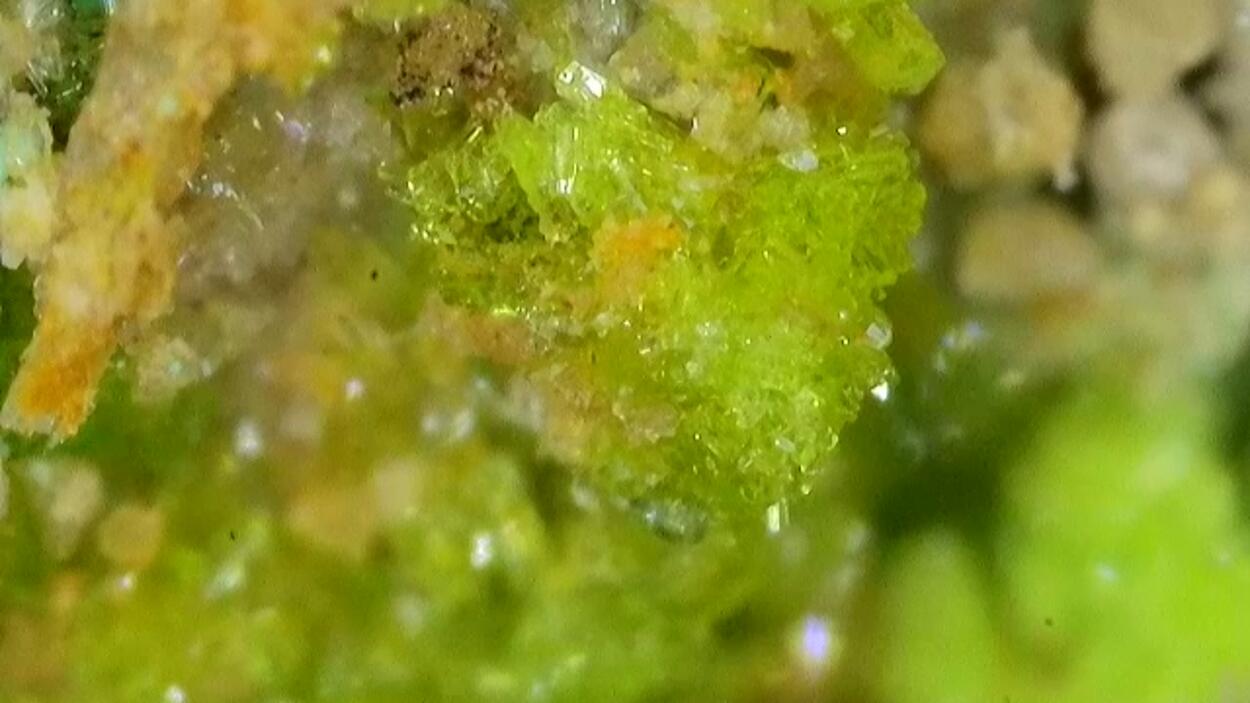 Johannite With Zippeite