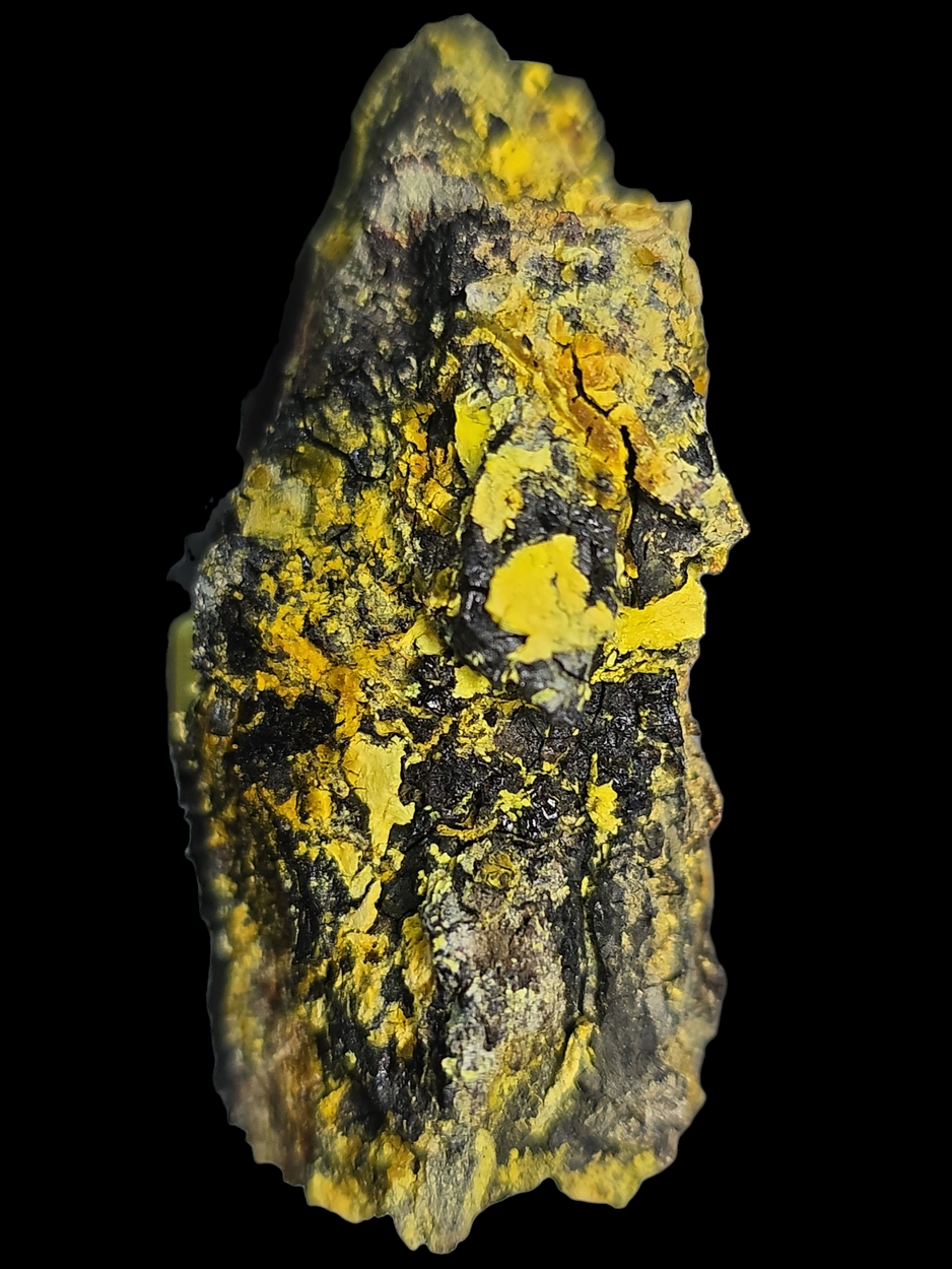 Uranopilite On Uraninite Psm Wood