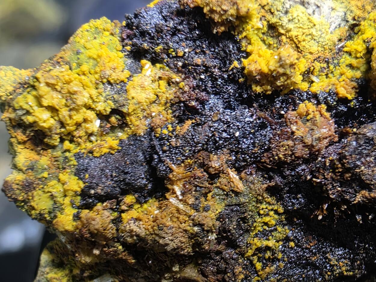 Schoepite With Rutherfordine On Uraninite