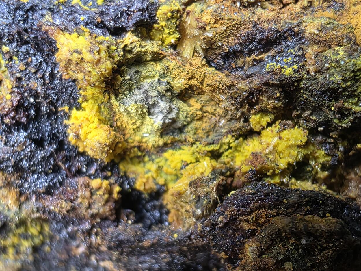 Schoepite With Rutherfordine On Uraninite