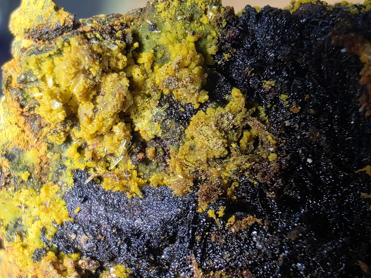 Schoepite With Rutherfordine On Uraninite