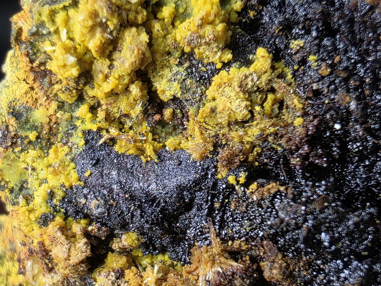 Schoepite With Rutherfordine On Uraninite