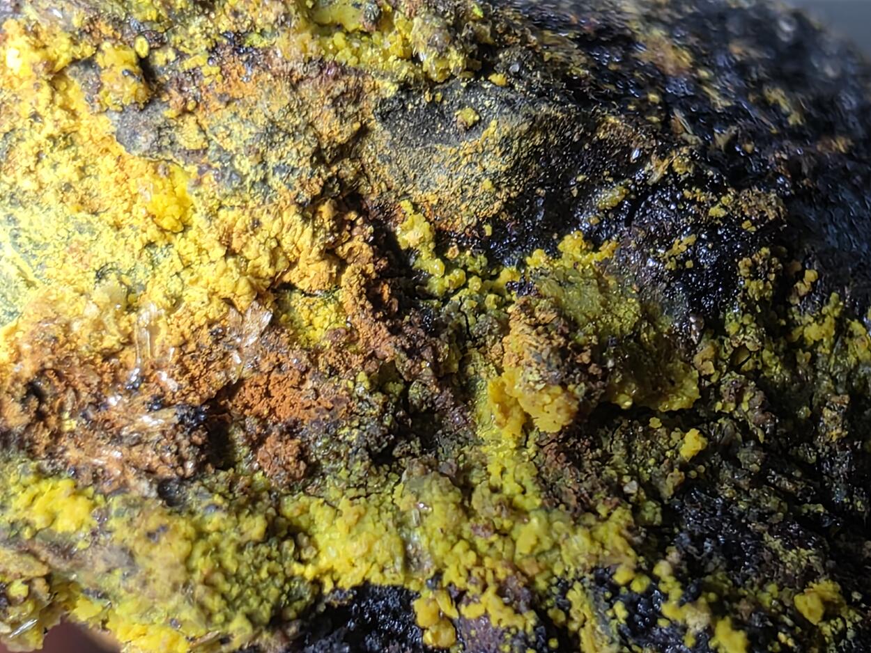 Schoepite With Rutherfordine On Uraninite