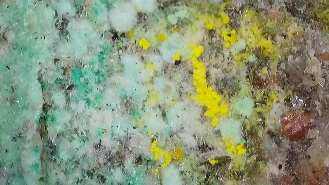 Pseudojohannite Natrozippeite Devilline & Bornite