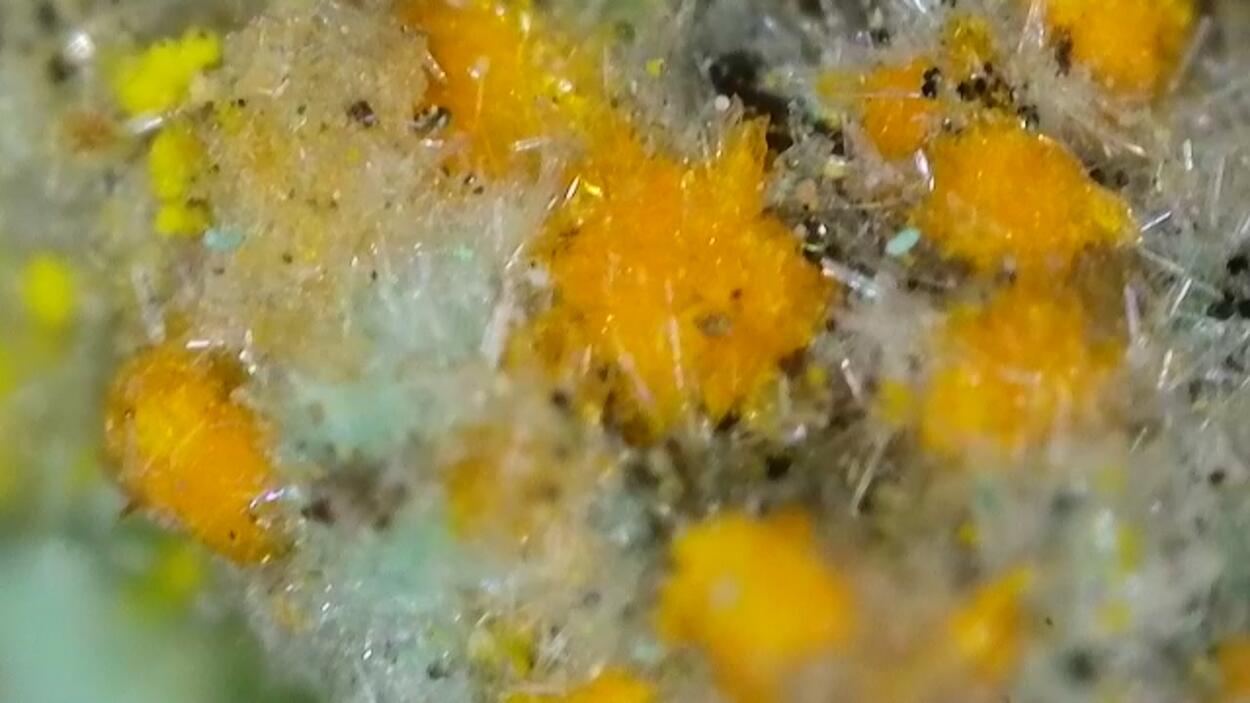 Pseudojohannite Natrozippeite Devilline & Bornite