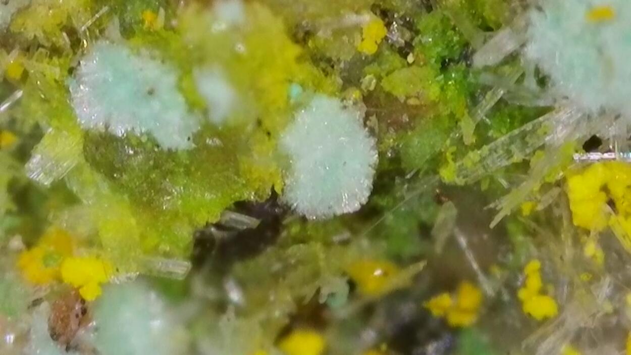 Pseudojohannite Natrozippeite Devilline & Bornite