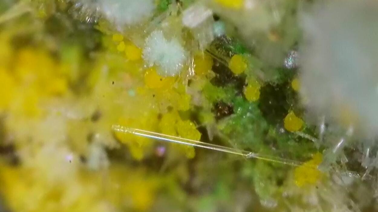 Pseudojohannite Natrozippeite Devilline & Bornite