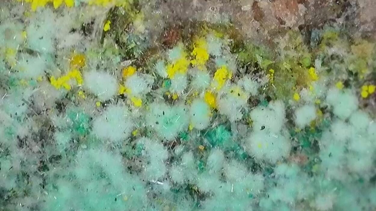 Pseudojohannite Natrozippeite Devilline & Bornite