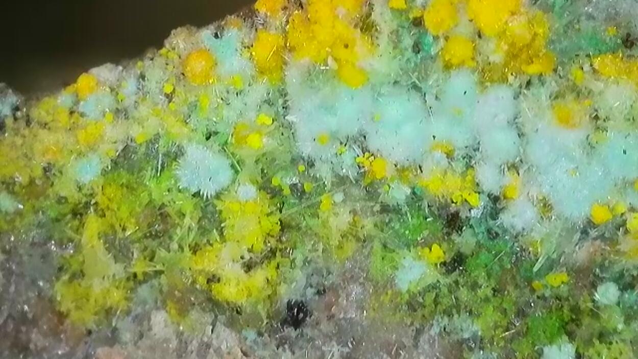 Pseudojohannite Natrozippeite Devilline & Bornite