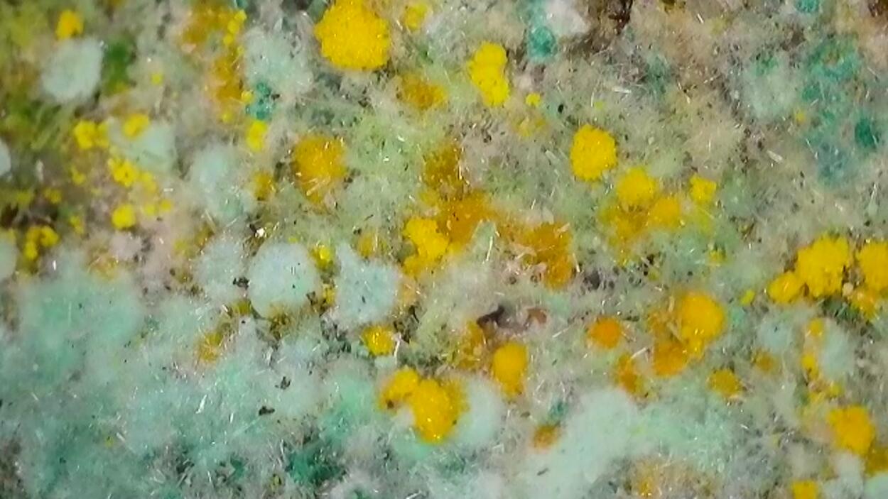 Pseudojohannite Natrozippeite Devilline & Bornite