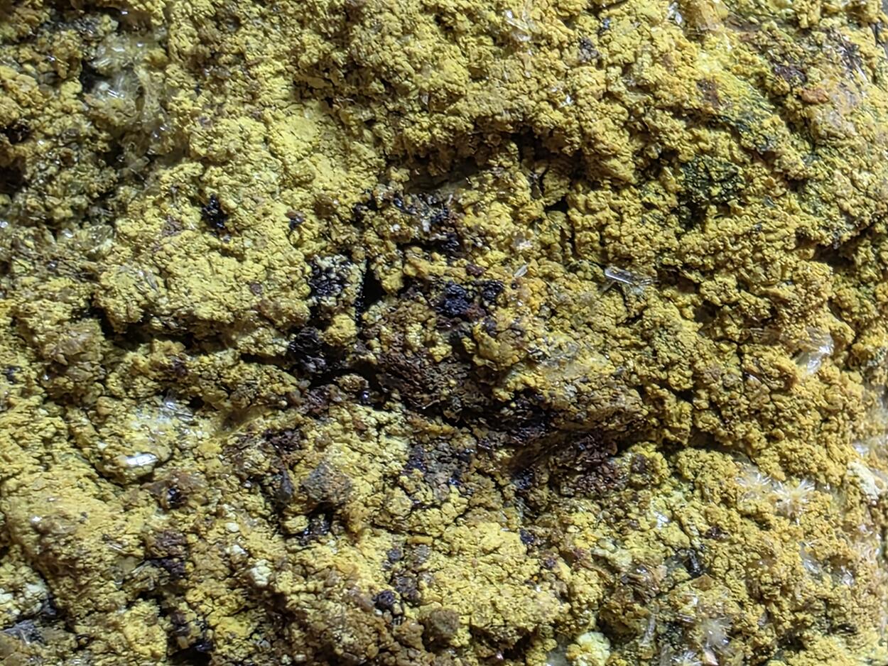 Schoepite & Rutherfordine On Uraninite