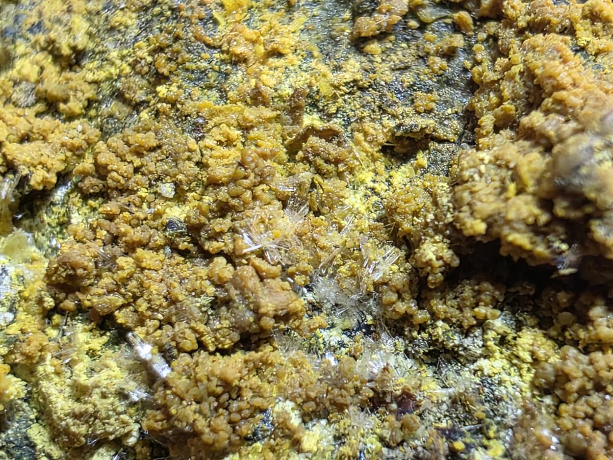 Schoepite & Rutherfordine On Uraninite