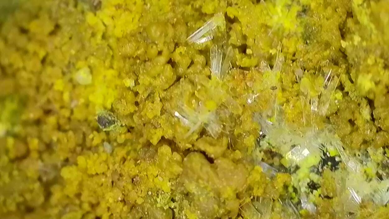 Schoepite & Rutherfordine On Uraninite