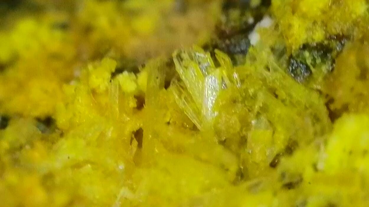 Schoepite & Rutherfordine On Uraninite