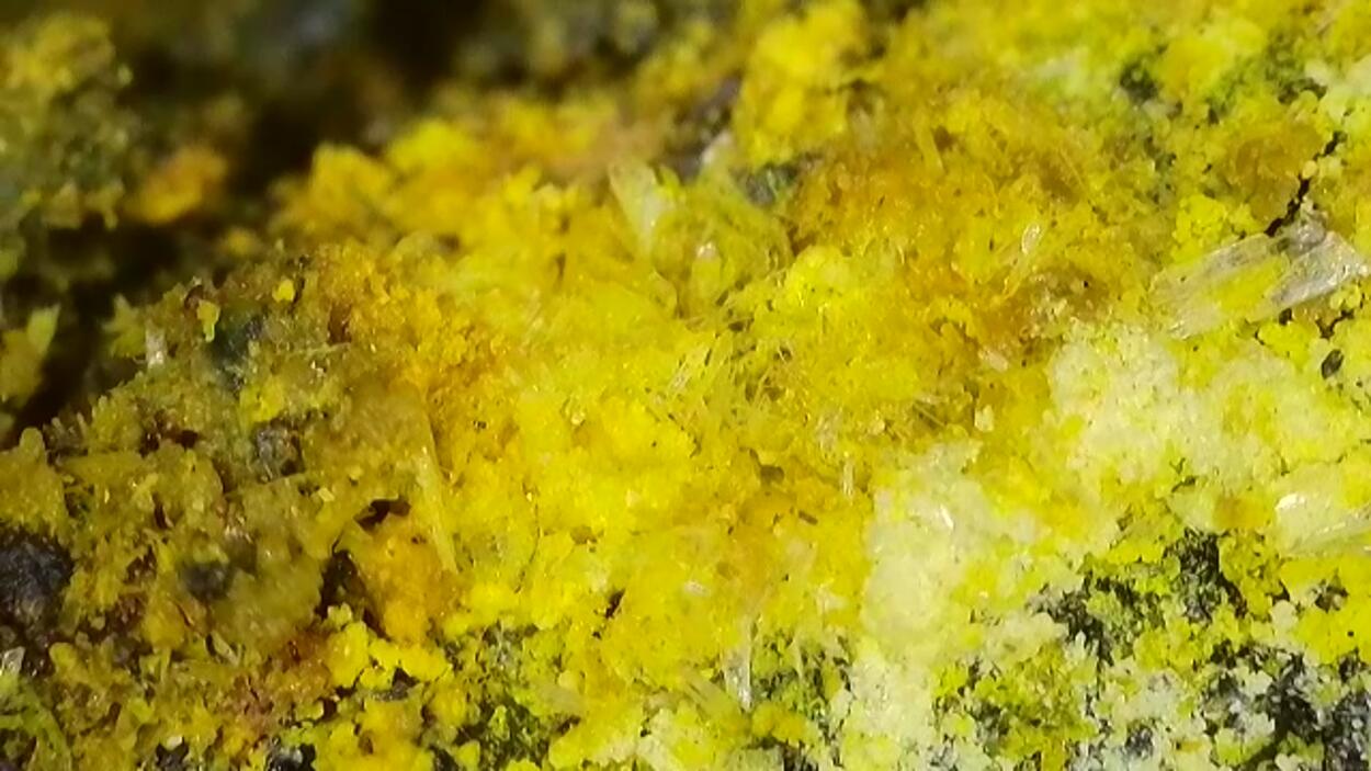 Schoepite & Rutherfordine On Uraninite