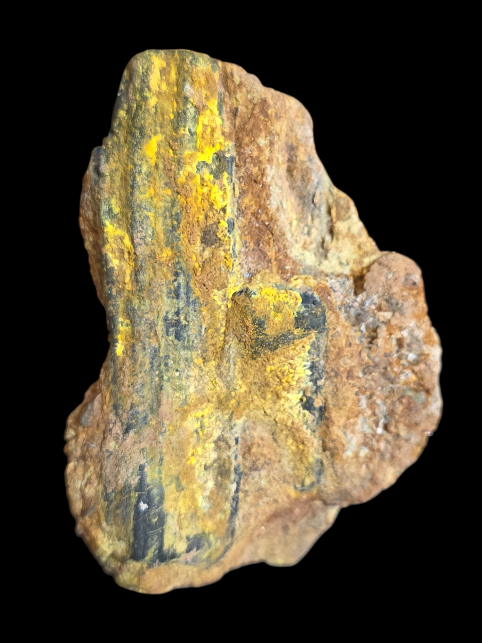 Uraninite Psm Wood In Sandstone