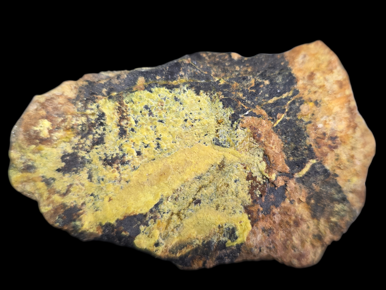 Uranophane With Gummite In Uraninite