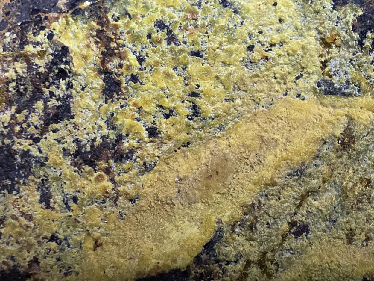 Uranophane With Gummite In Uraninite