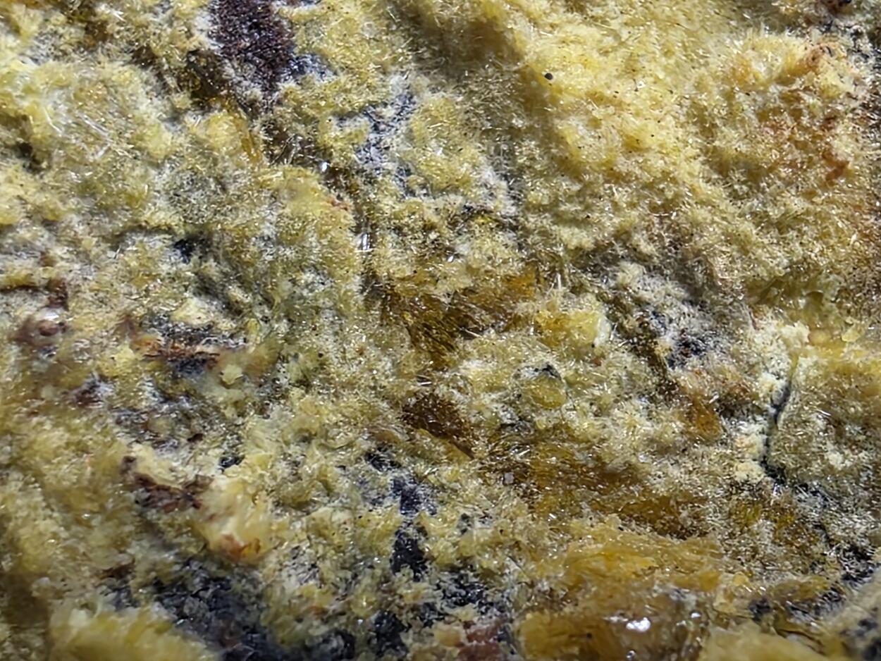 Uranophane With Gummite In Uraninite