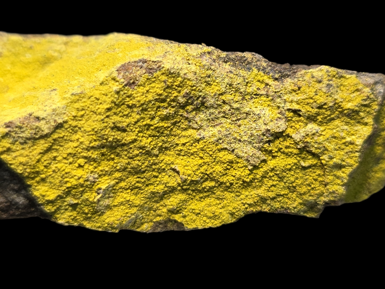 Carnotite On Sandstone