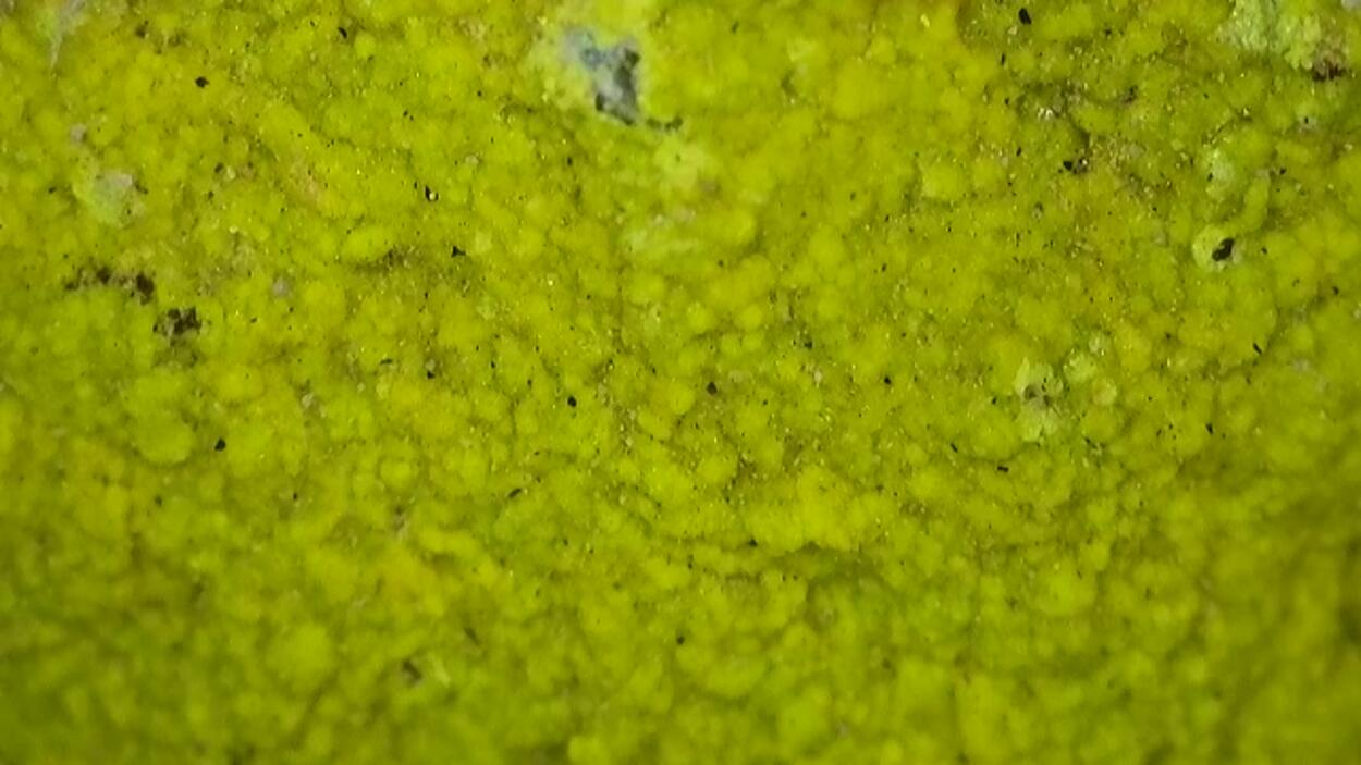 Carnotite On Sandstone