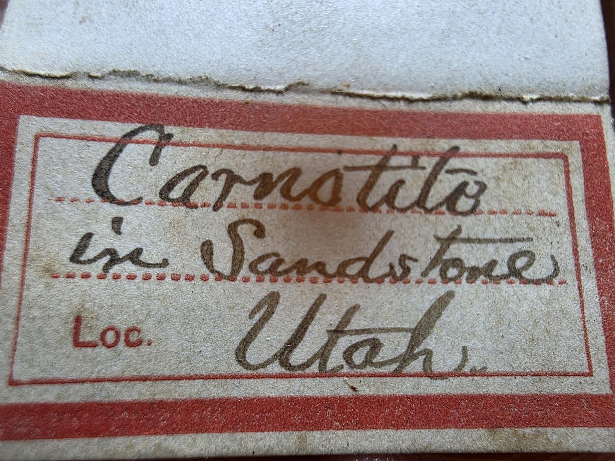 Carnotite On Sandstone