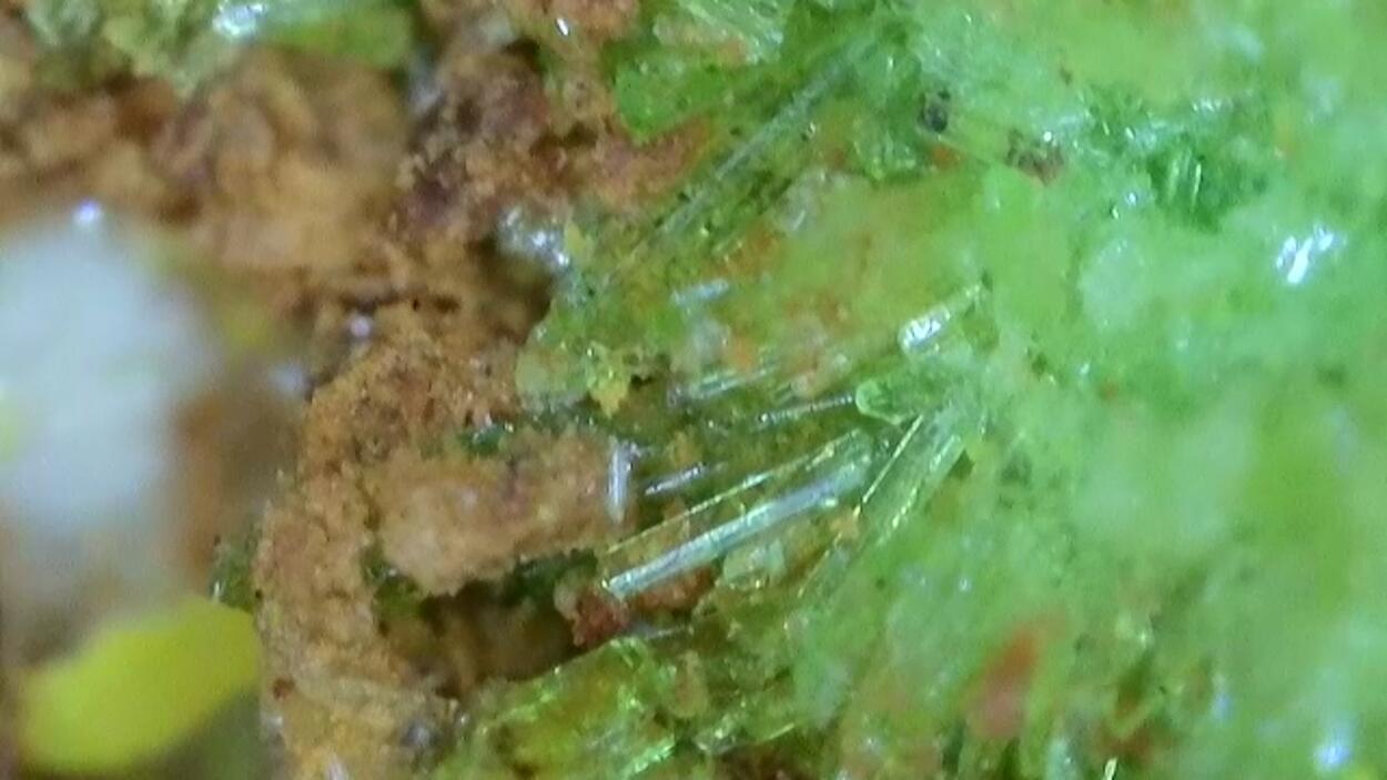 Johannite With Natrozippeite